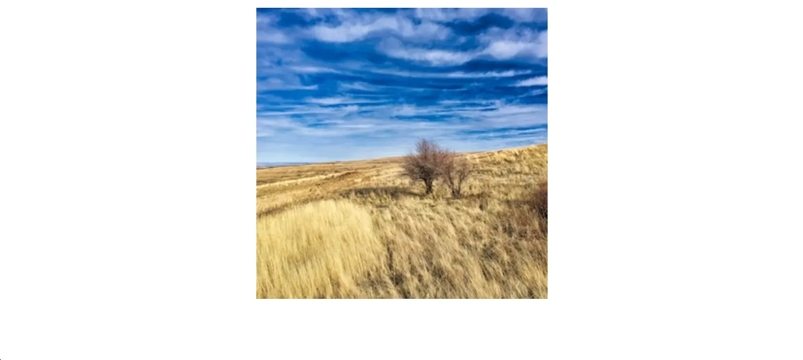 Converting Image to a Block Element