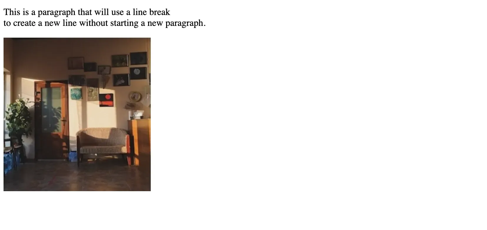 Empty Elements and Their Role in HTML