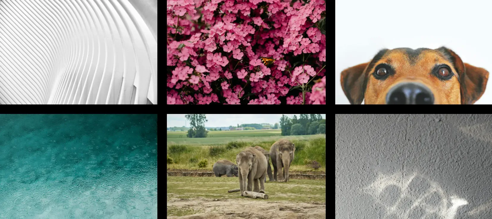 Styling the Image Gallery