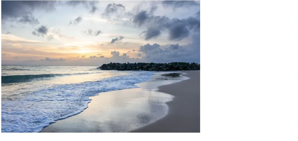 image-tag.webp