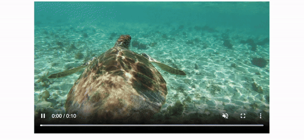 video